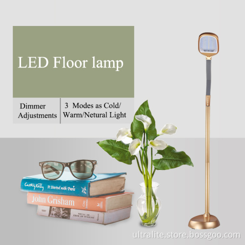 multifunction adjustable changeable color LED floor lamp
